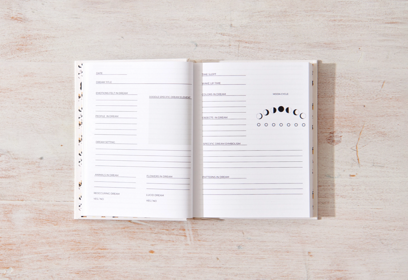 Dream Journal by Dancia Gim