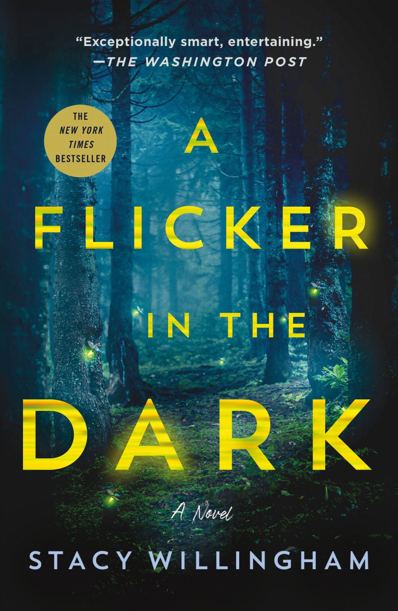 A flicker in the Dark by Stacy Willingham
