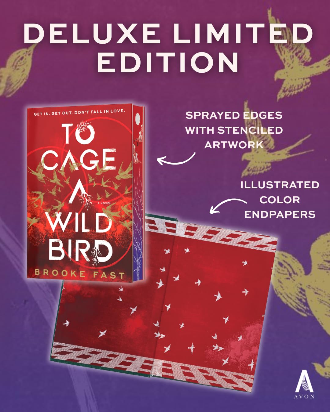 To Cage a Wild Bird by Brooke Fast