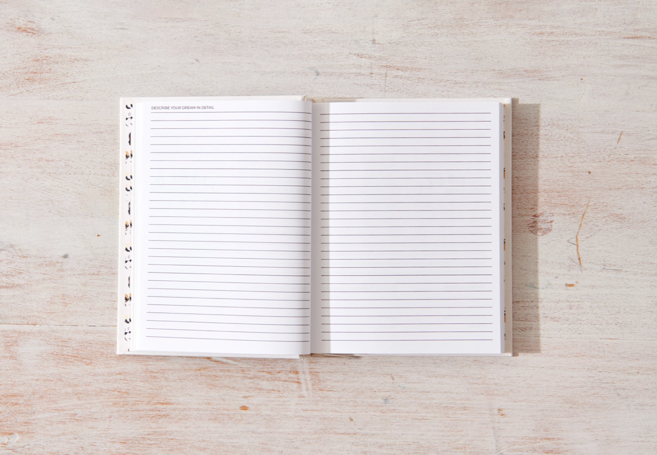 Dream Journal by Dancia Gim