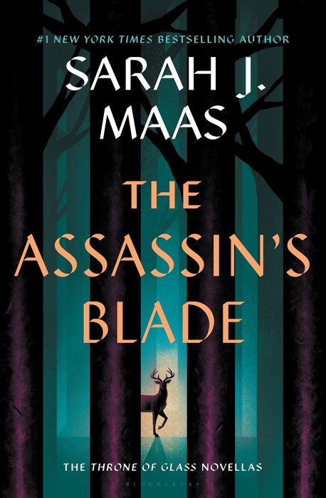 The Assassin’s Blade by Sarah J. Maas
